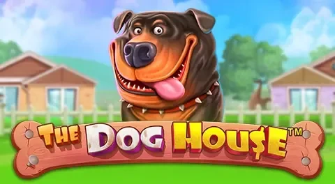 dog-house